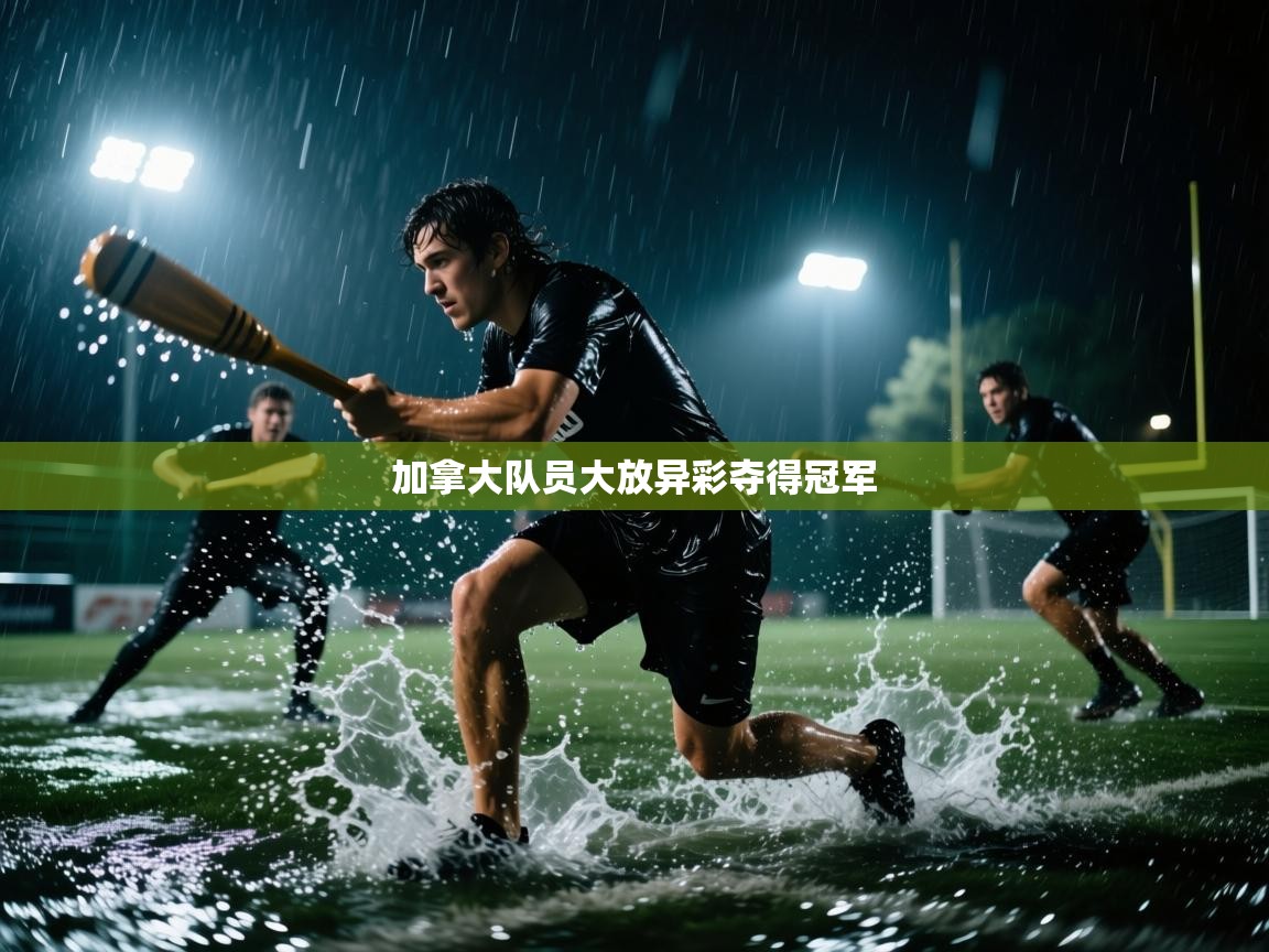 开云APP-加拿大队员大放异彩夺得冠军  第1张