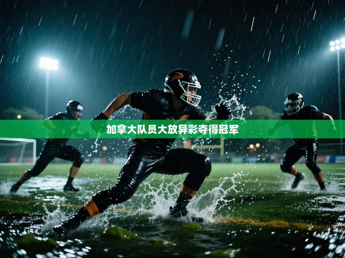 开云APP-加拿大队员大放异彩夺得冠军  第2张