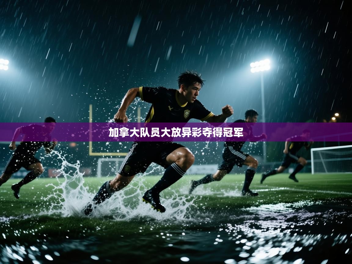 开云APP-加拿大队员大放异彩夺得冠军  第3张