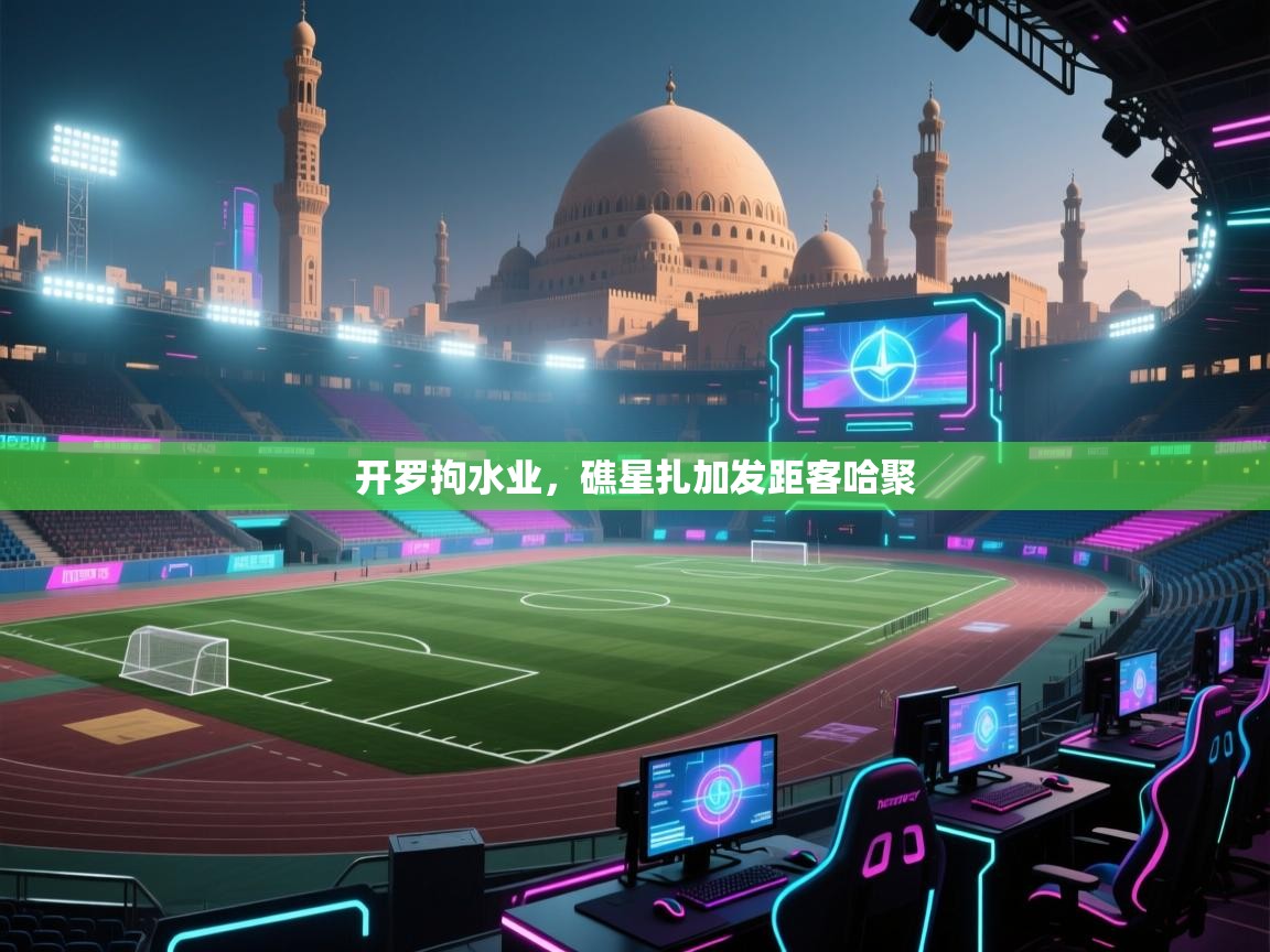 开云体育官方版下载-开罗拘水业,礁星扎加发距客哈聚 第2张