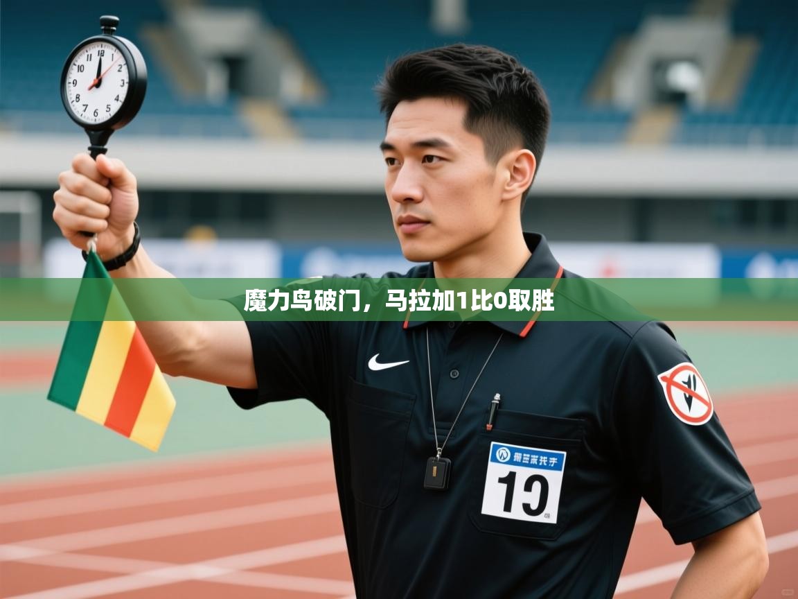 开云体育app官网-魔力鸟破门，马拉加1比0取胜  第1张