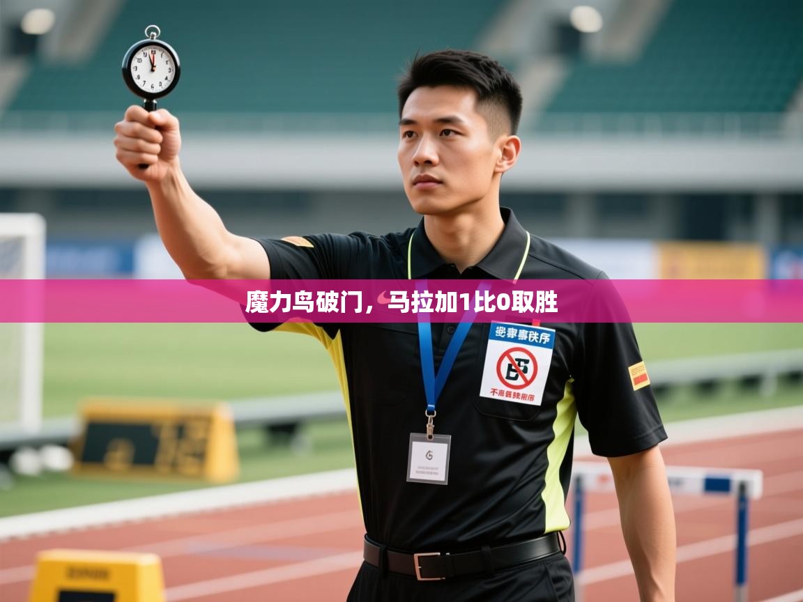 开云体育app官网-魔力鸟破门，马拉加1比0取胜  第2张
