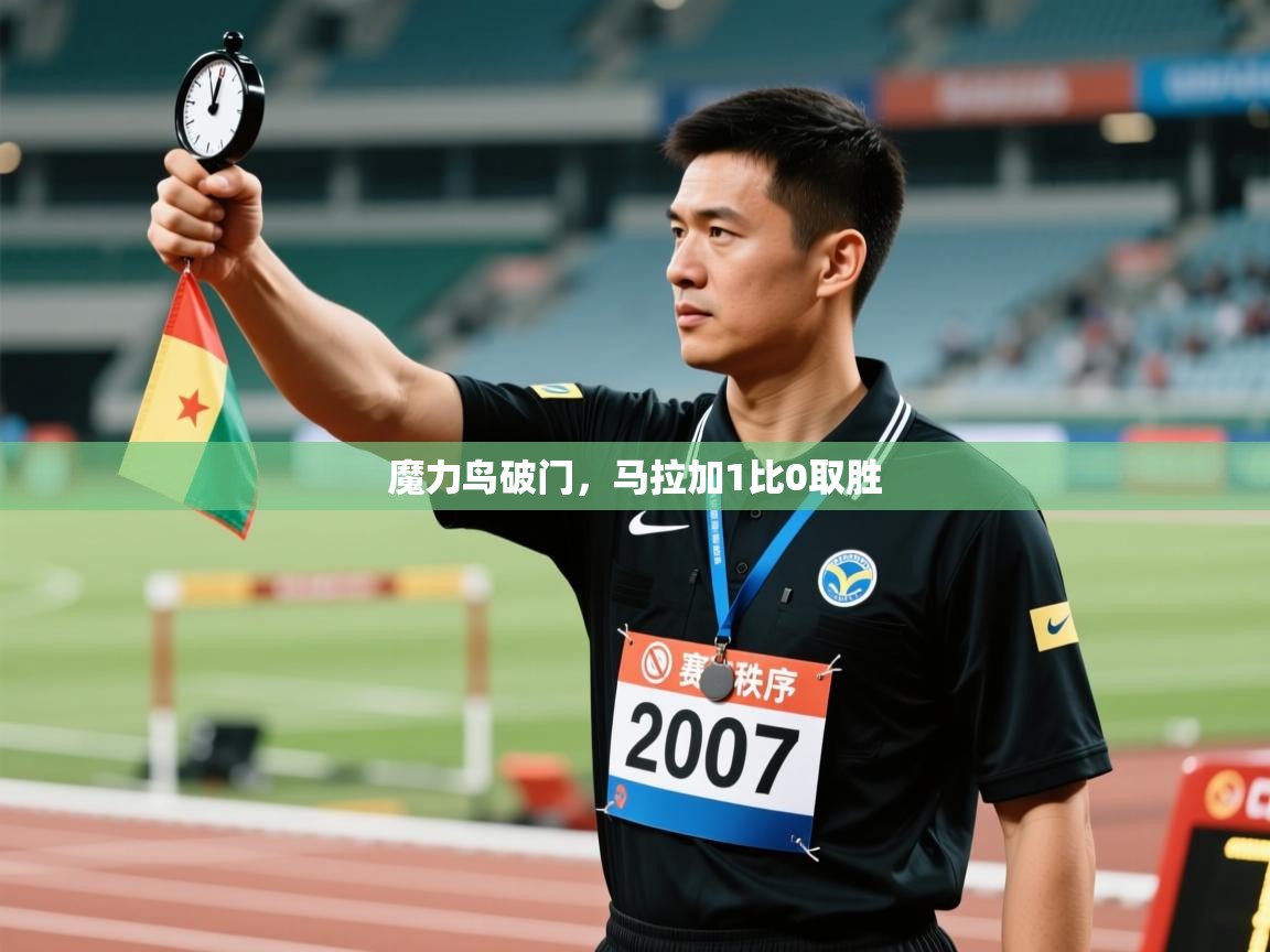 开云体育app官网-魔力鸟破门，马拉加1比0取胜  第3张