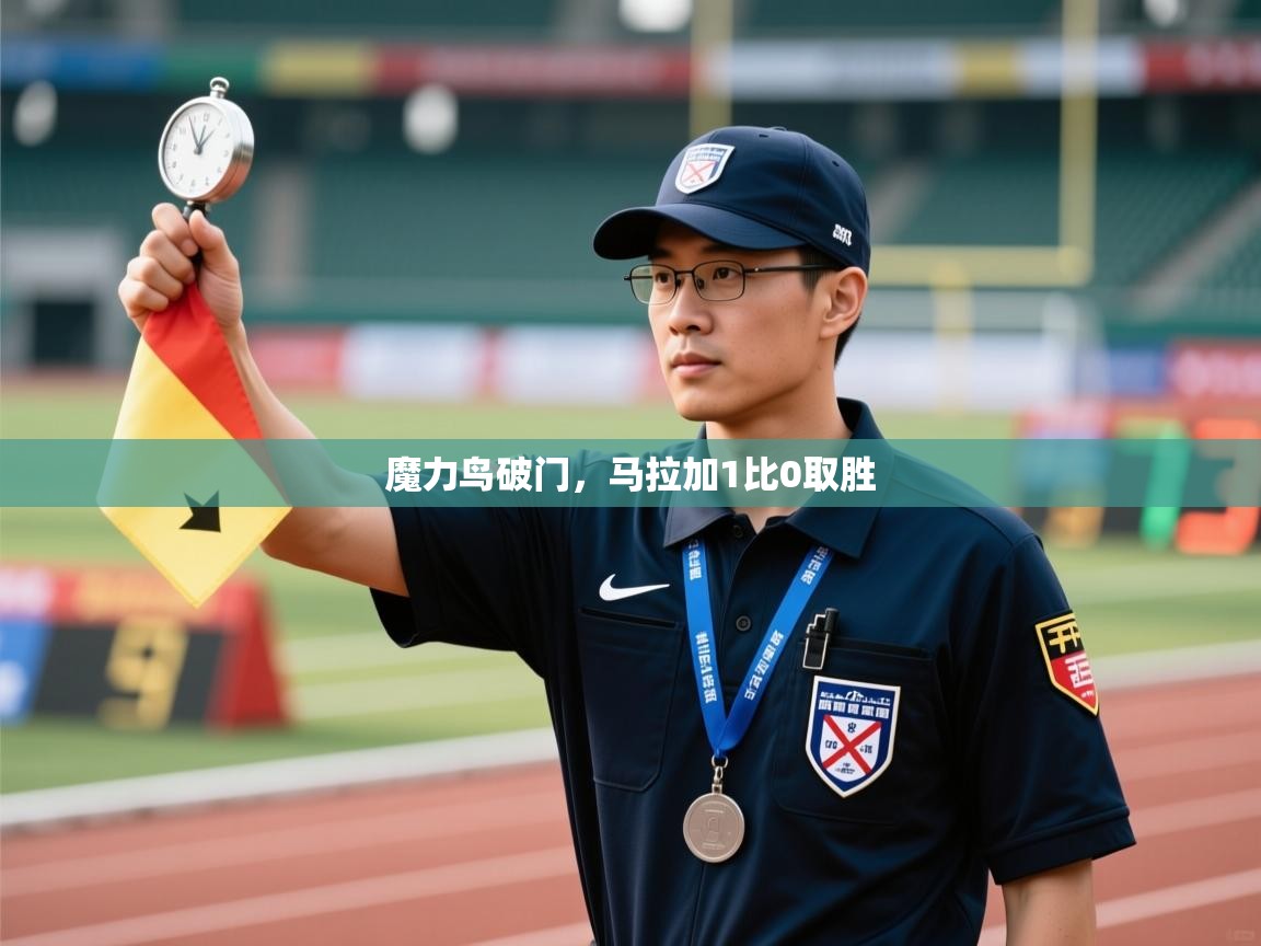 开云体育app官网-魔力鸟破门，马拉加1比0取胜  第4张