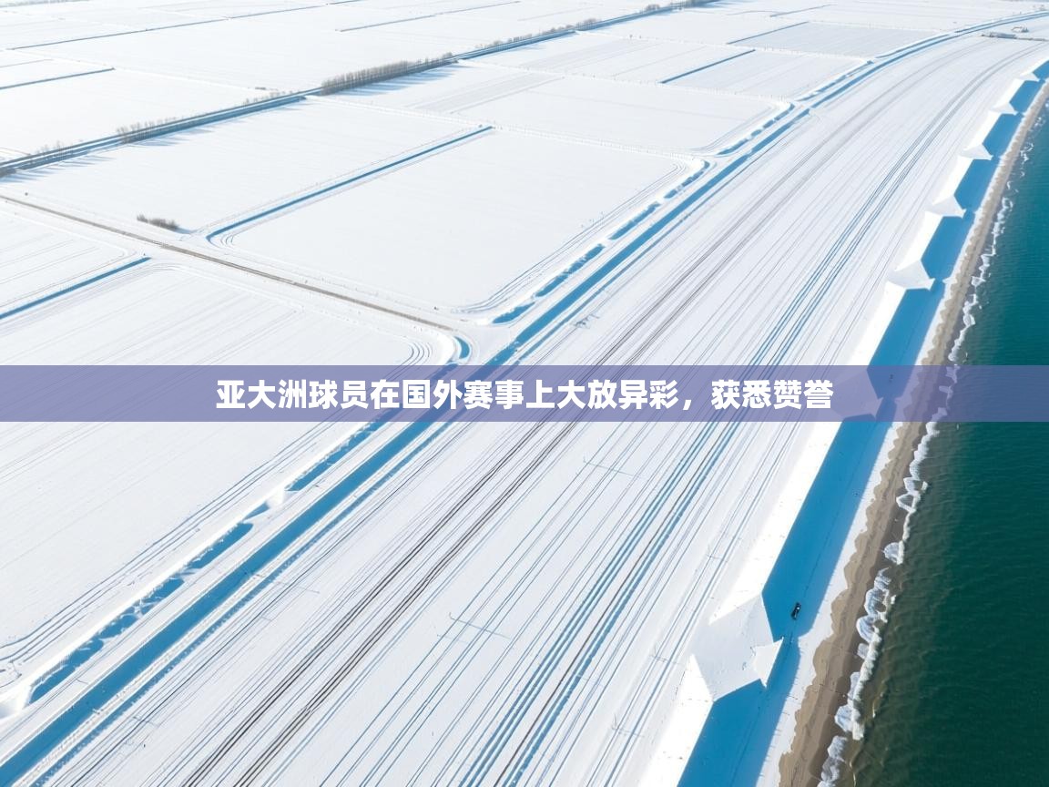 开云官网-亚大洲球员在国外赛事上大放异彩，获悉赞誉